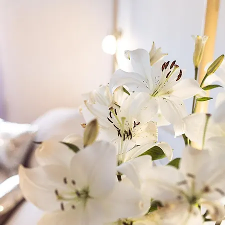 Nord Boutique Hotel Estellencs (Estellenchs)